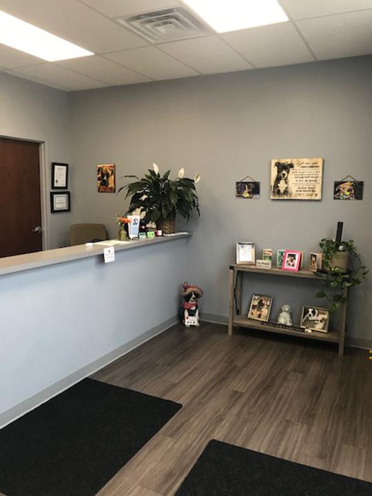 Almost Home Boarding & Grooming Bettendorf, IA